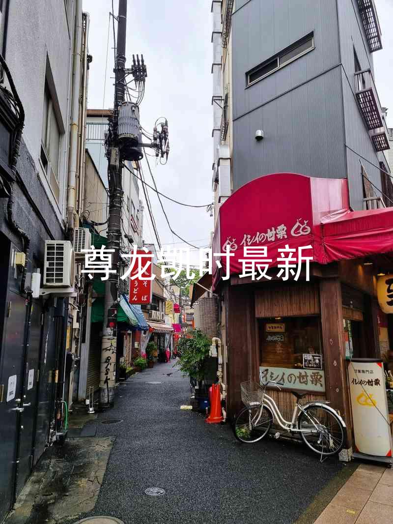 尊龙凯时最新